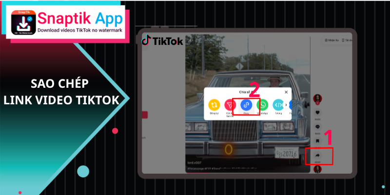 احصل على رابط فيديو تيك توك الذي تريد تحميله